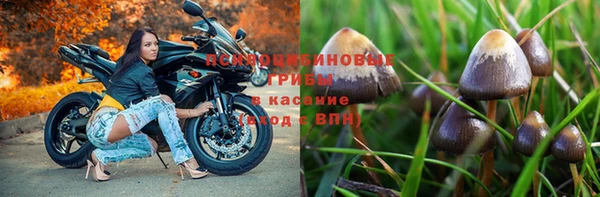мяу мяу мука Алексеевка